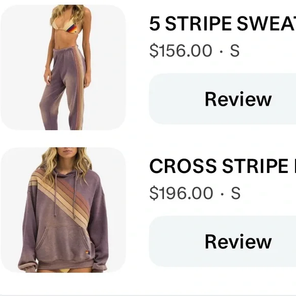 Aviator Nation Mauve and Beige Hoodie - Picture 2 of 2